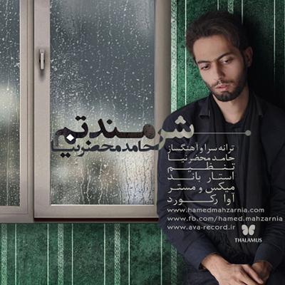 آهنگ شرمندتم