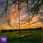 اشتباه در ستارگان بخت ما