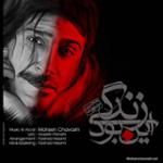 این بود زندگی