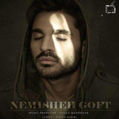 آهنگ نمیشه گفت