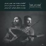 تکنوازی عود