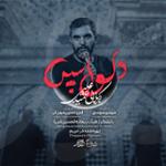 دلواپس