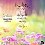 پناه قلب ها