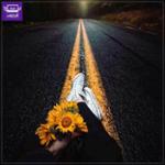 یکی مانده به آخر