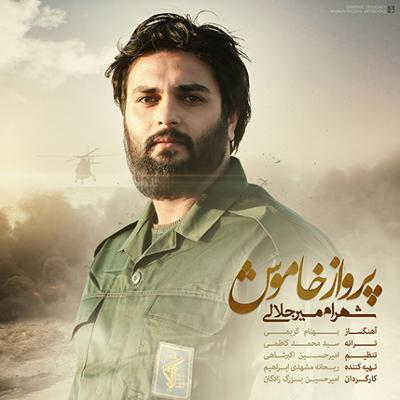 آهنگ پرواز خاموش