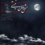 مثل بودن نیستی