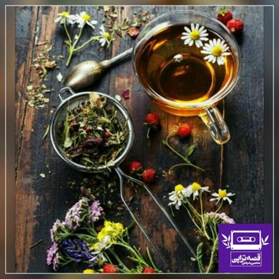 آهنگ راهنمای مردن با گیاهان دارویی